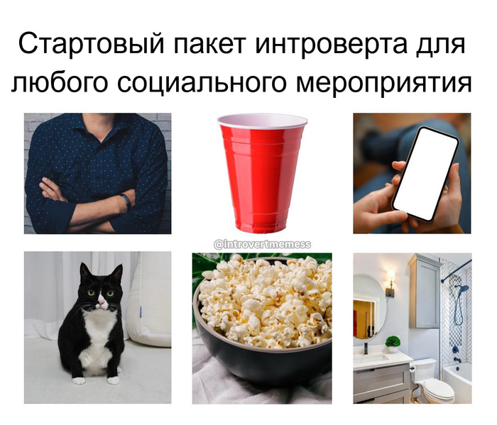     ))