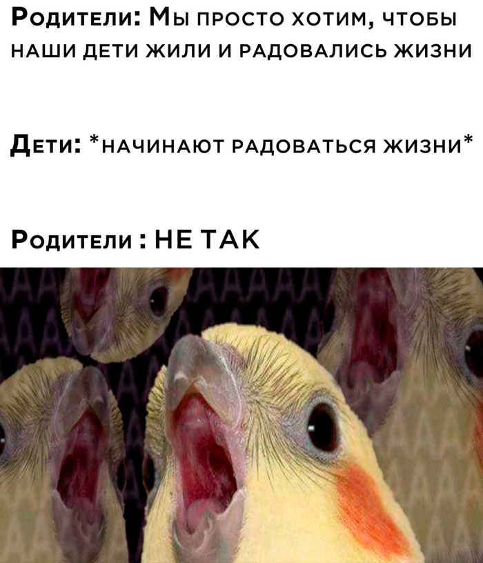  , ,     ? , , , , , , , , 