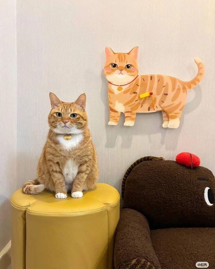  , 