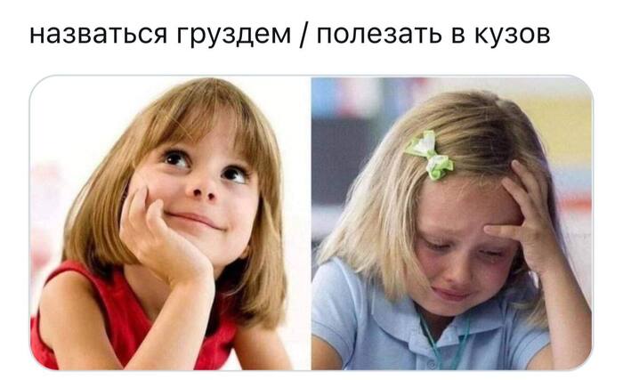    ,   , , ,   , Telegram ()