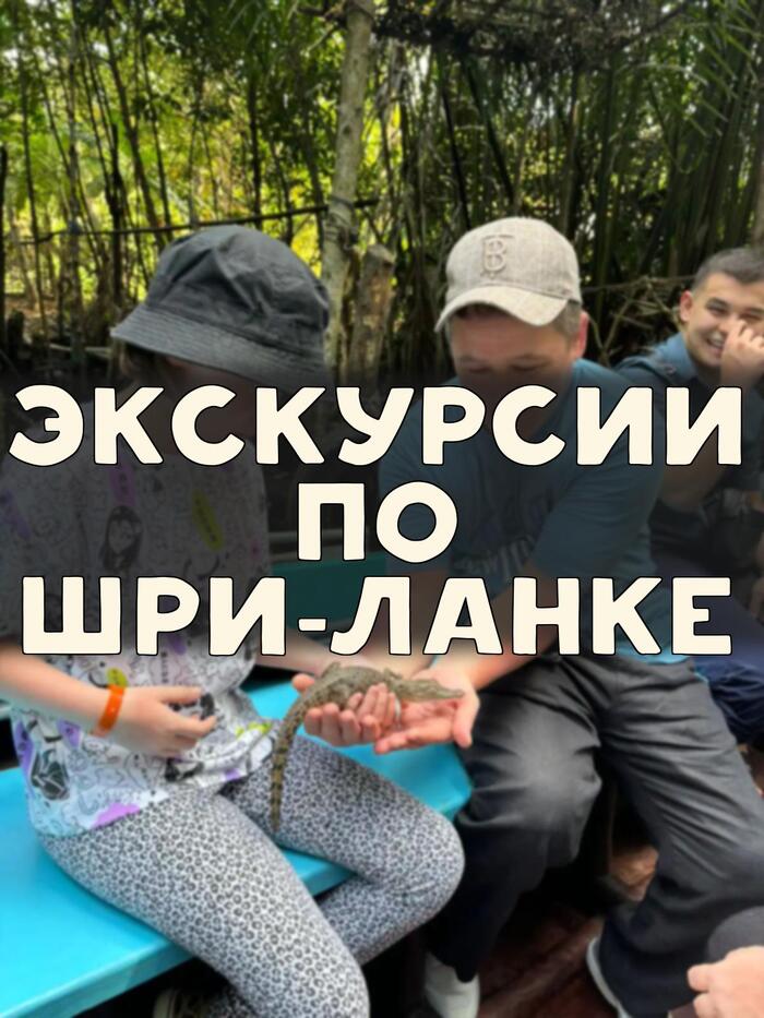 -13   -:       , , , ,  , 