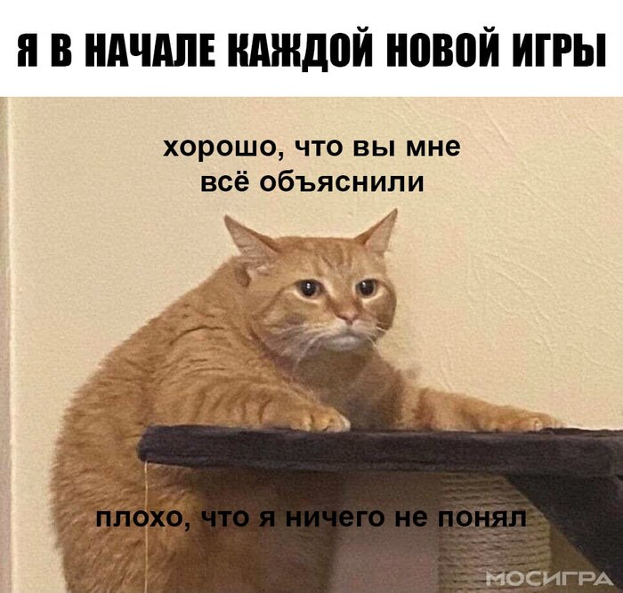      ,   ,        ?