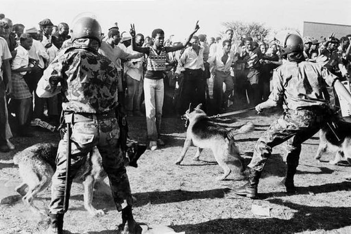 История ЮАР: помогли ли санкции побороть апартеид?