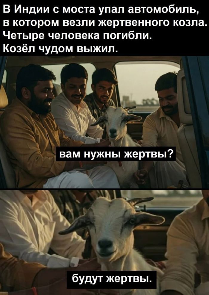  , ,   , ,  , 