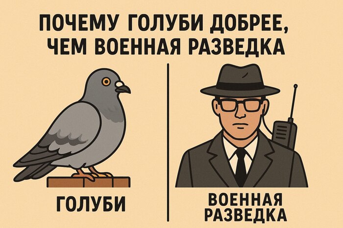        ,       , Pikabu Publish Bot