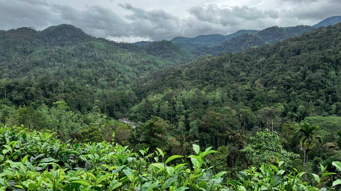 Вид на Синхараджу с вьюпойнта