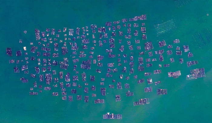 Вид с орбиты Земли на плавучие рыбоводные фермы на Тайване.