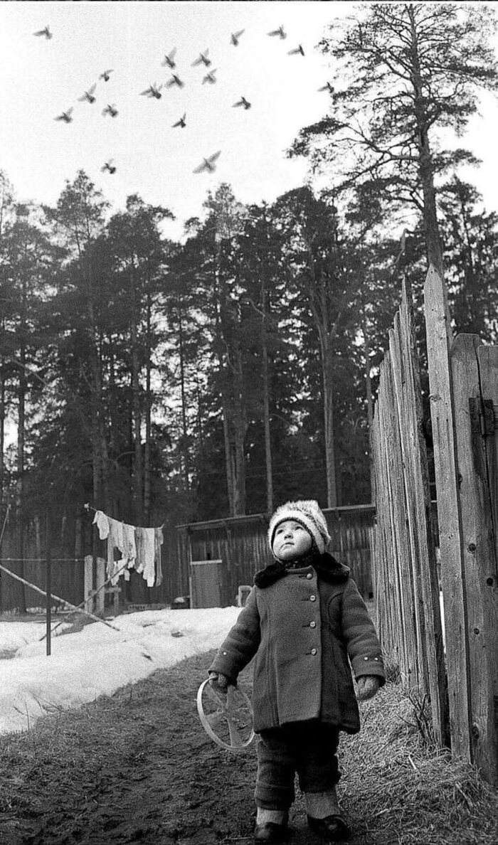 Наблюдая за миром