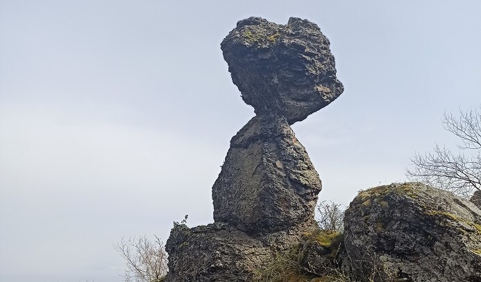 ����: ������� ������� 