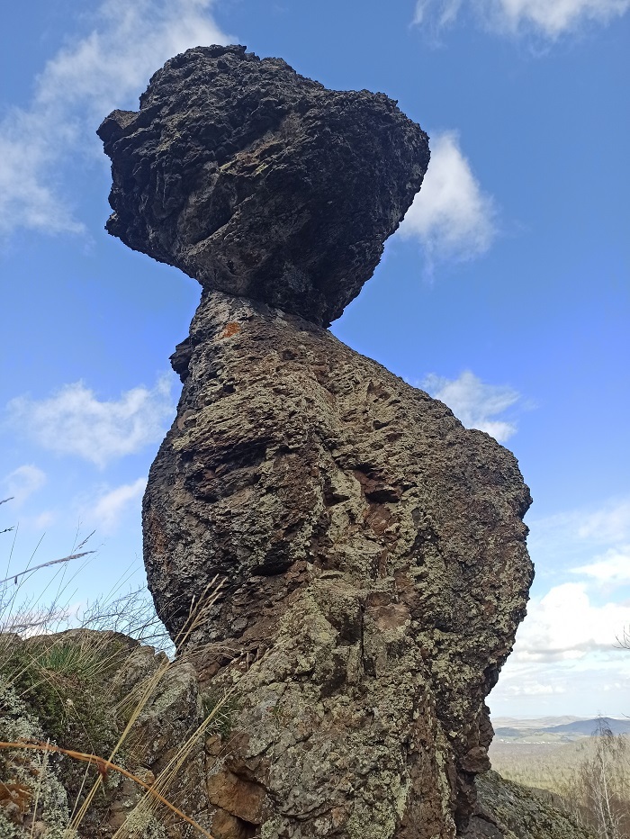 ����� ��������� (�������� ����). ����: ������� ������� 