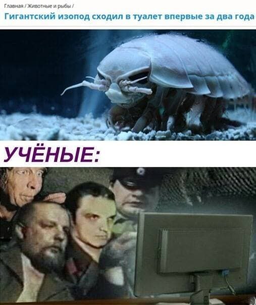 Внимание. Спасибо за внимание