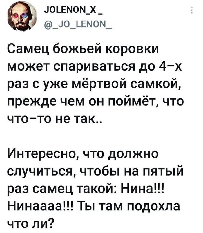   , X (Twitter), ,  , , 