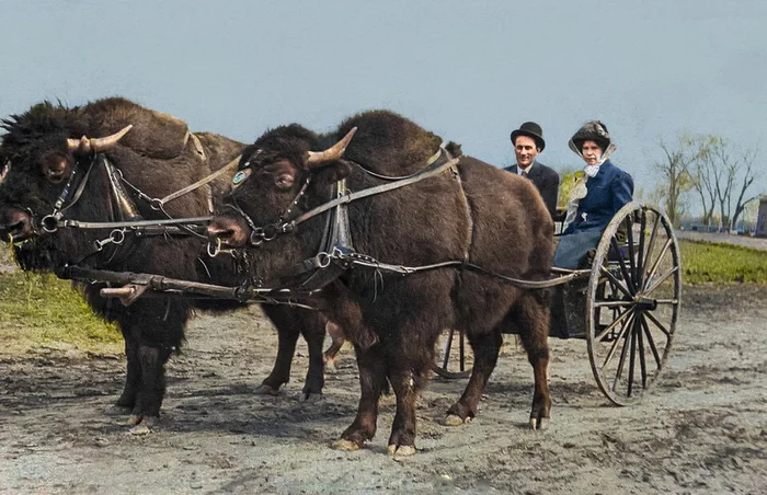 Уникальные исторические кадры, которые перенесут вас в прошлое. 20 раскрашенных фотографий из ХIX века. Часть VII Историческое фото, Старое фото, 19 век, Фотография, Колоризация, Длиннопост