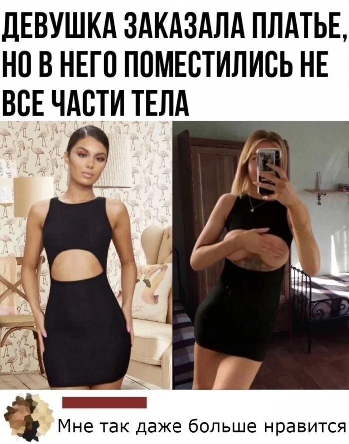 jfy2we6k.webp