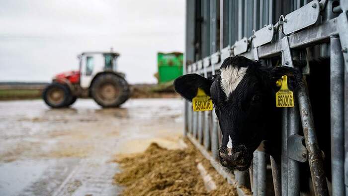 Фото из свободных источников