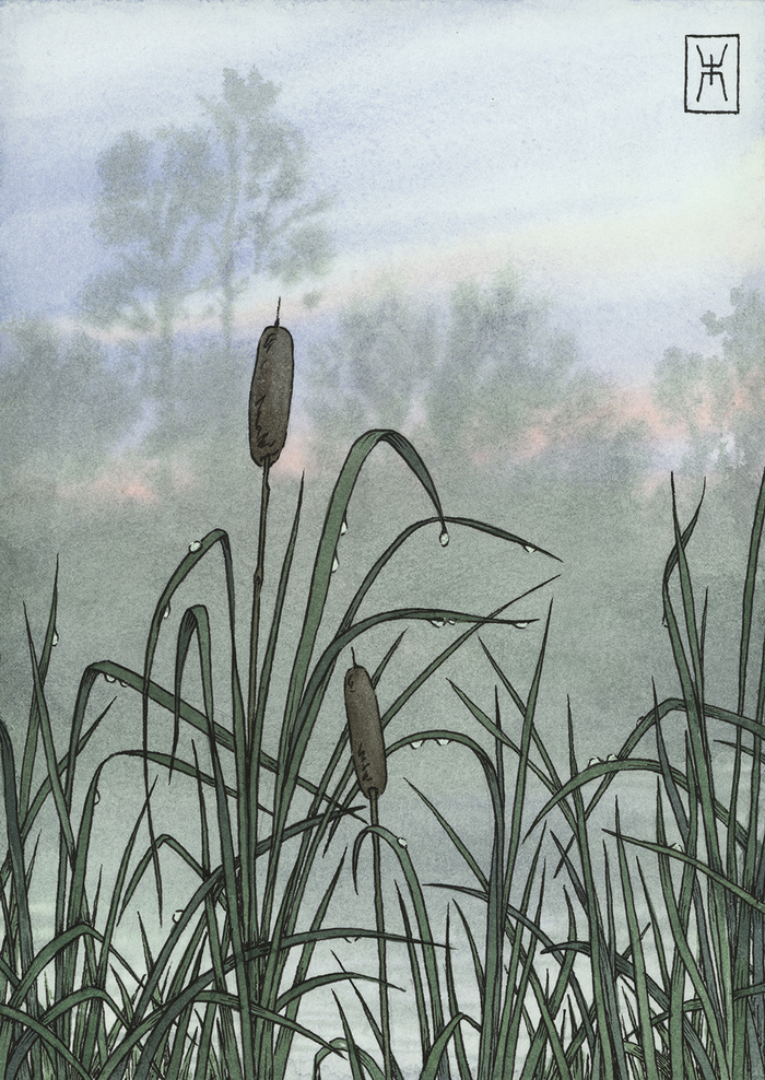 ��������, ������, ������.