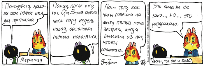 Котейкины Новости от 22.05.2025