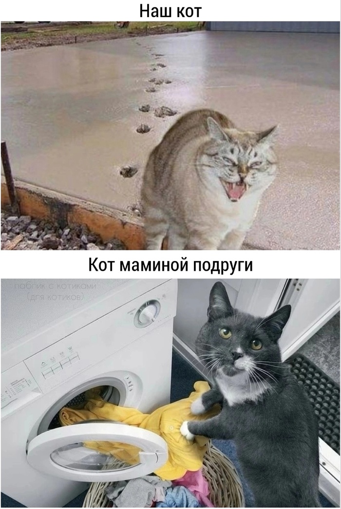    ,   , ,   