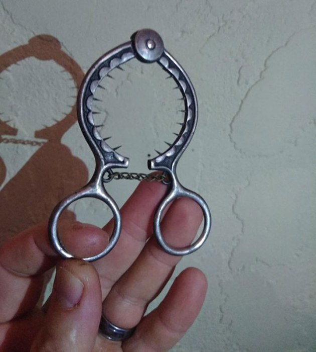   , 