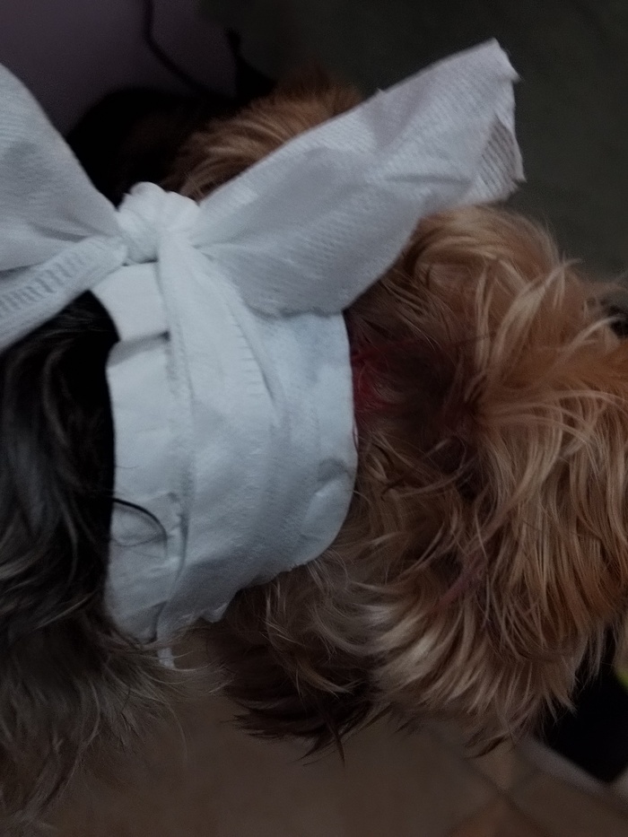 �������� �������� ����� � ����� "������" 