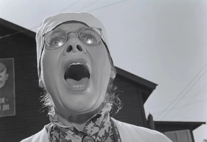  ,    , / , 1964, . . 