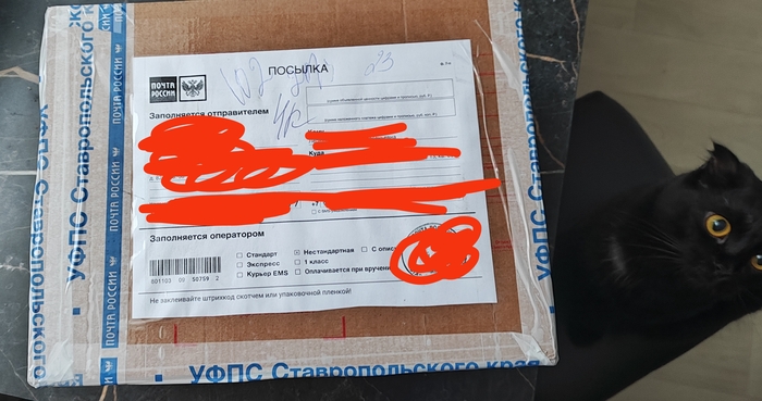          ,  , , 