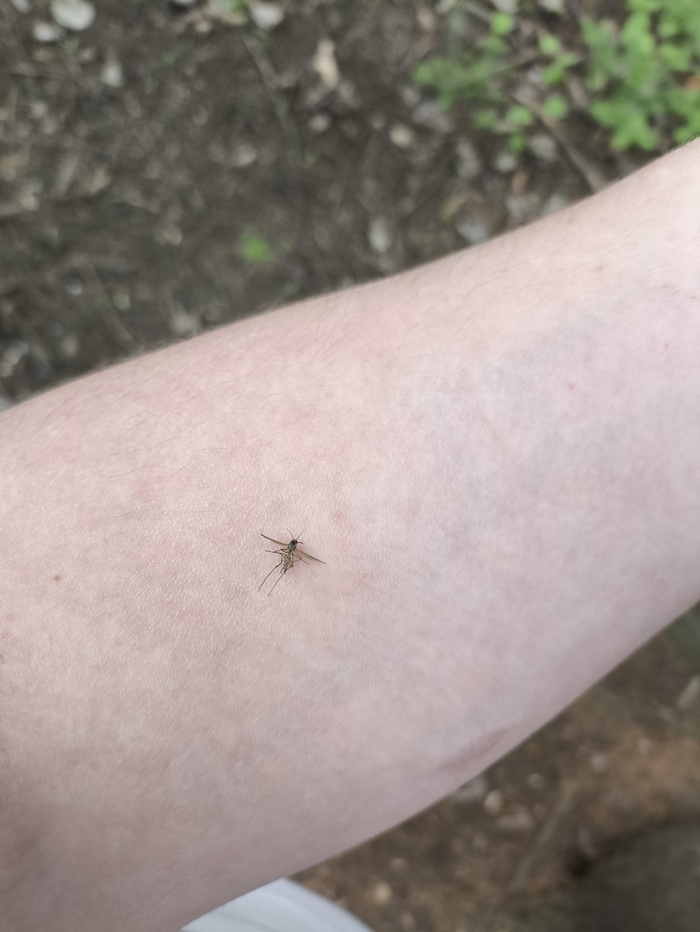 Первый в 2025(