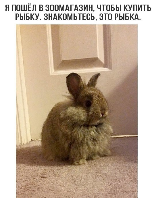 Знакомьтесь