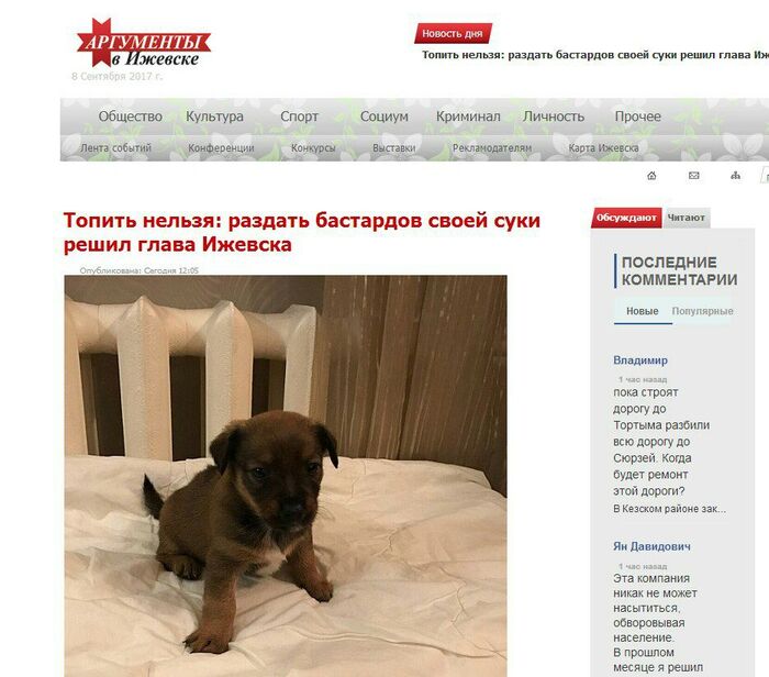 Топить или не топить, вот в чем вопрос