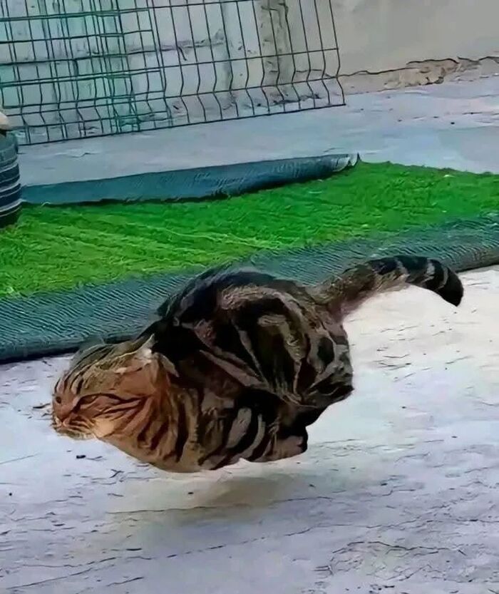    .    ,  , , , , ,  
