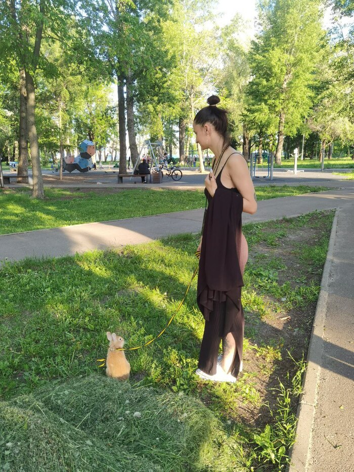 ������ ��������� ����� ������ ��������� ������� �� �������