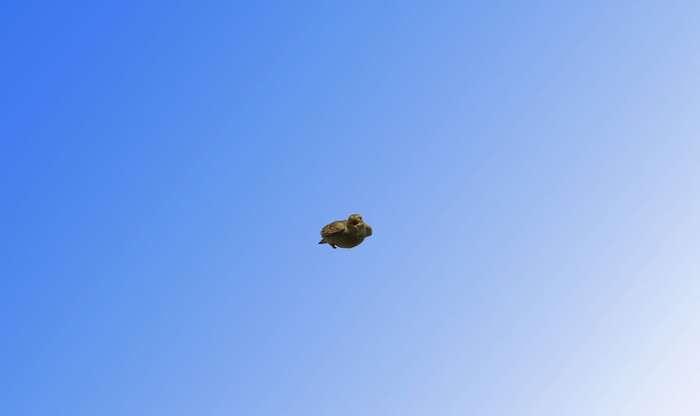    , , ,  , , , , ,  , ,  , , ,   , 