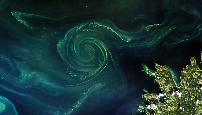       ,  , ,  , , , NASA, ,  ,   (), 