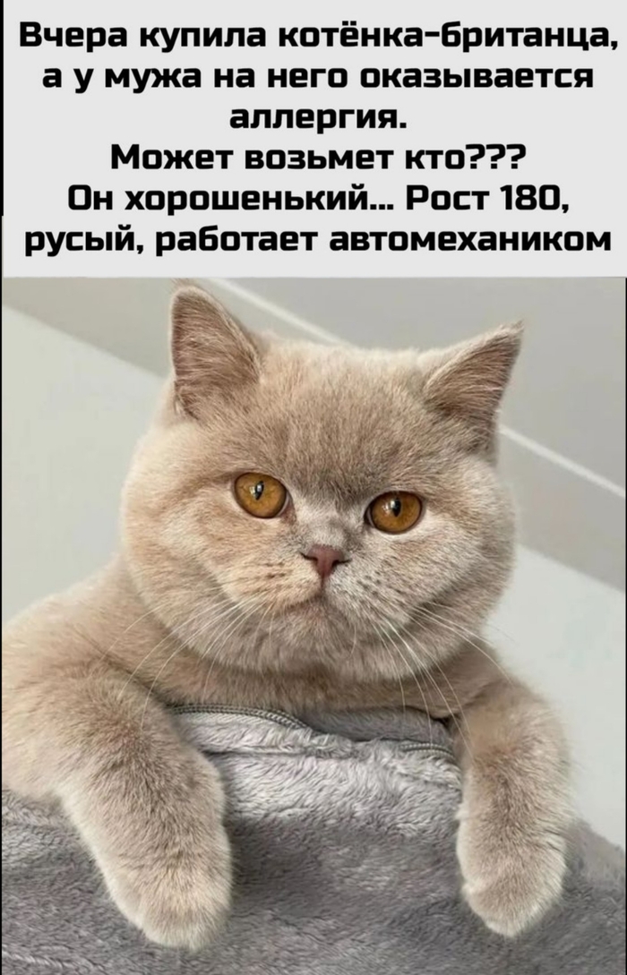 !)   , ,  , , , 