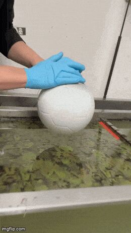   , , , 