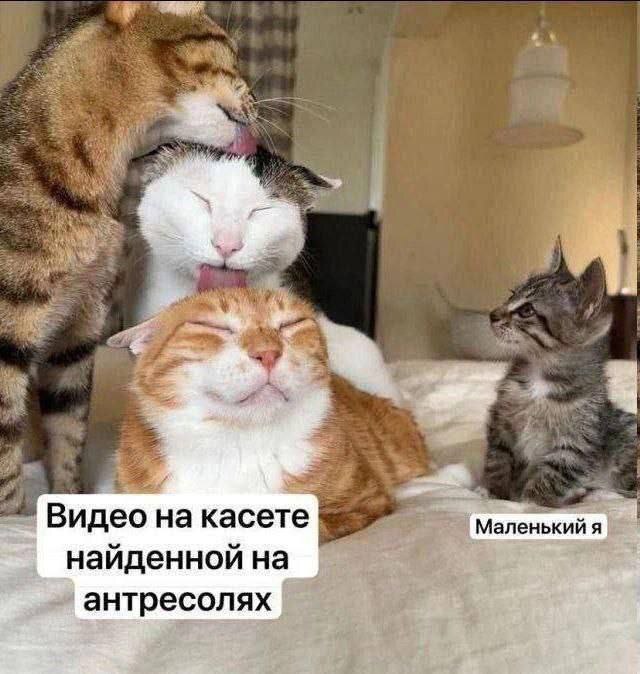     ,   , ,  , , , , 