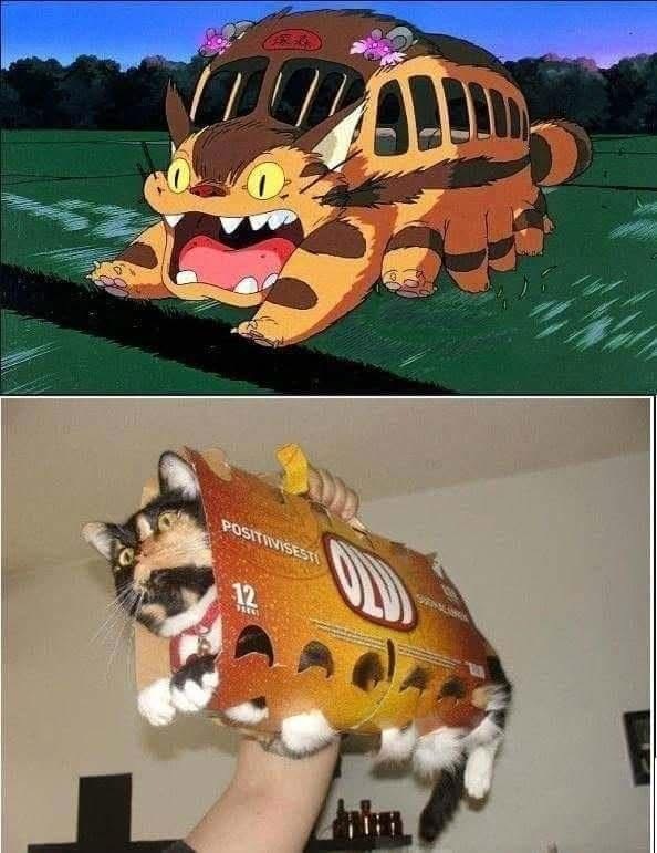  , ,   