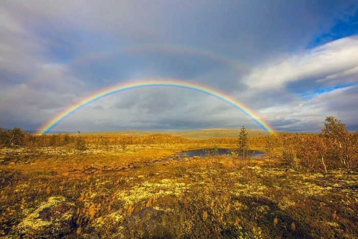 Rainbow