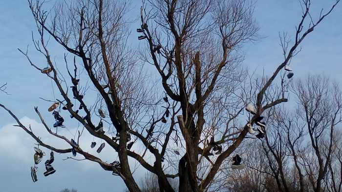  ,  - -  -      .       . 