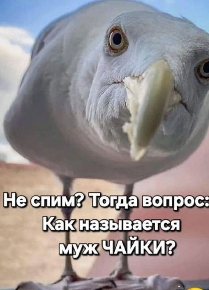  ? , , ,   