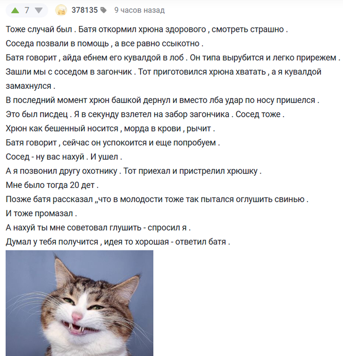      , ,   , , 
