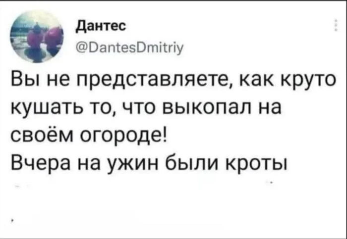 hld2xkoh.webp
