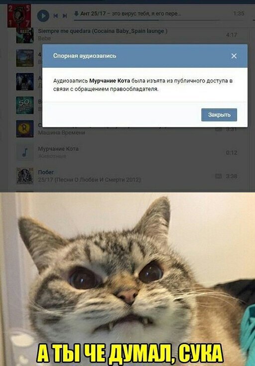  ? ,   ,  , ,  , , , 