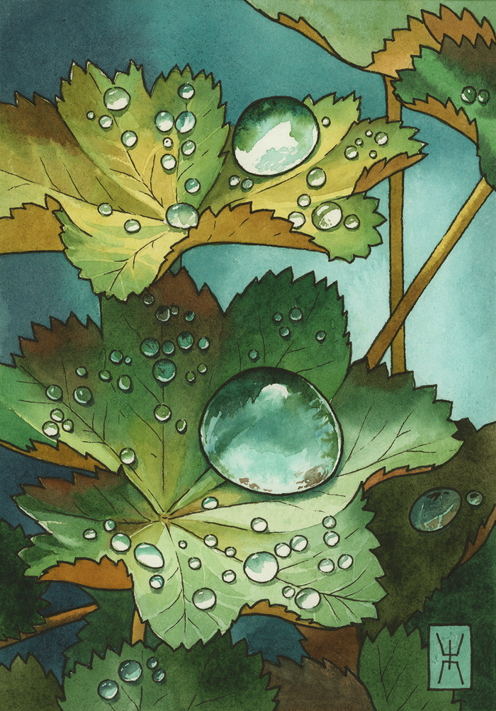 . , 100%  LANA 1420 ., . 2020.     . 50..