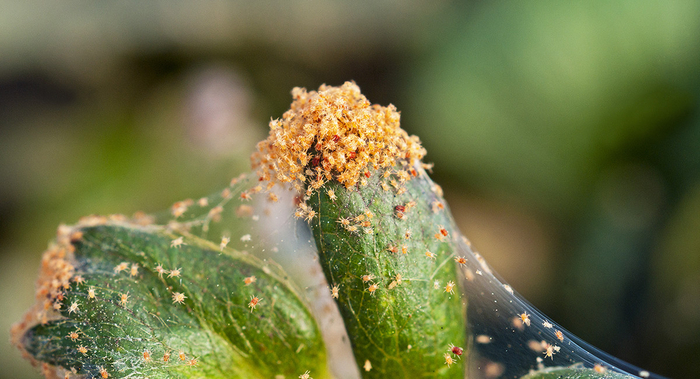 Если ваша вечеринка не выглядит так, то не зовите меня.