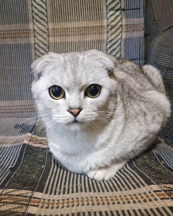      ! , ,    , ,  ,  , ,  , ,  , ,   ,  ,  , ,  , 