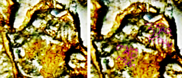 Надпись "35 Аркона" (Новгород) и "стан армии" на зеркале воительниц стана армии Руси Яра, изготовленное в 9-м веке в Великом Новгороде, найденное жителем села Сарлы Азнакаевского района Татарстана, 2018 г.