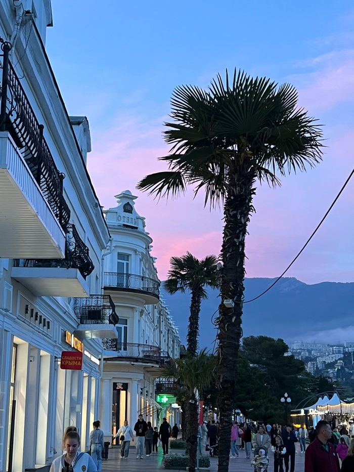  ,      .    Vice City -    .