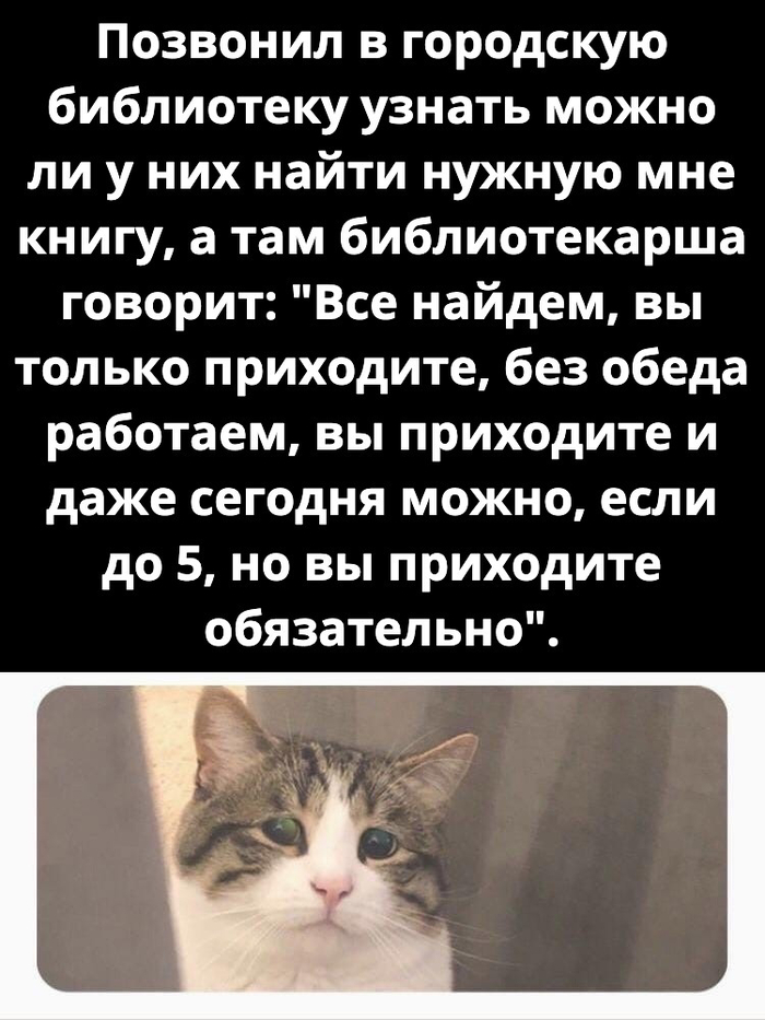 День библиотек