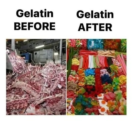 Memes in English Telegram (),  , ,  ,   ,  , ,  